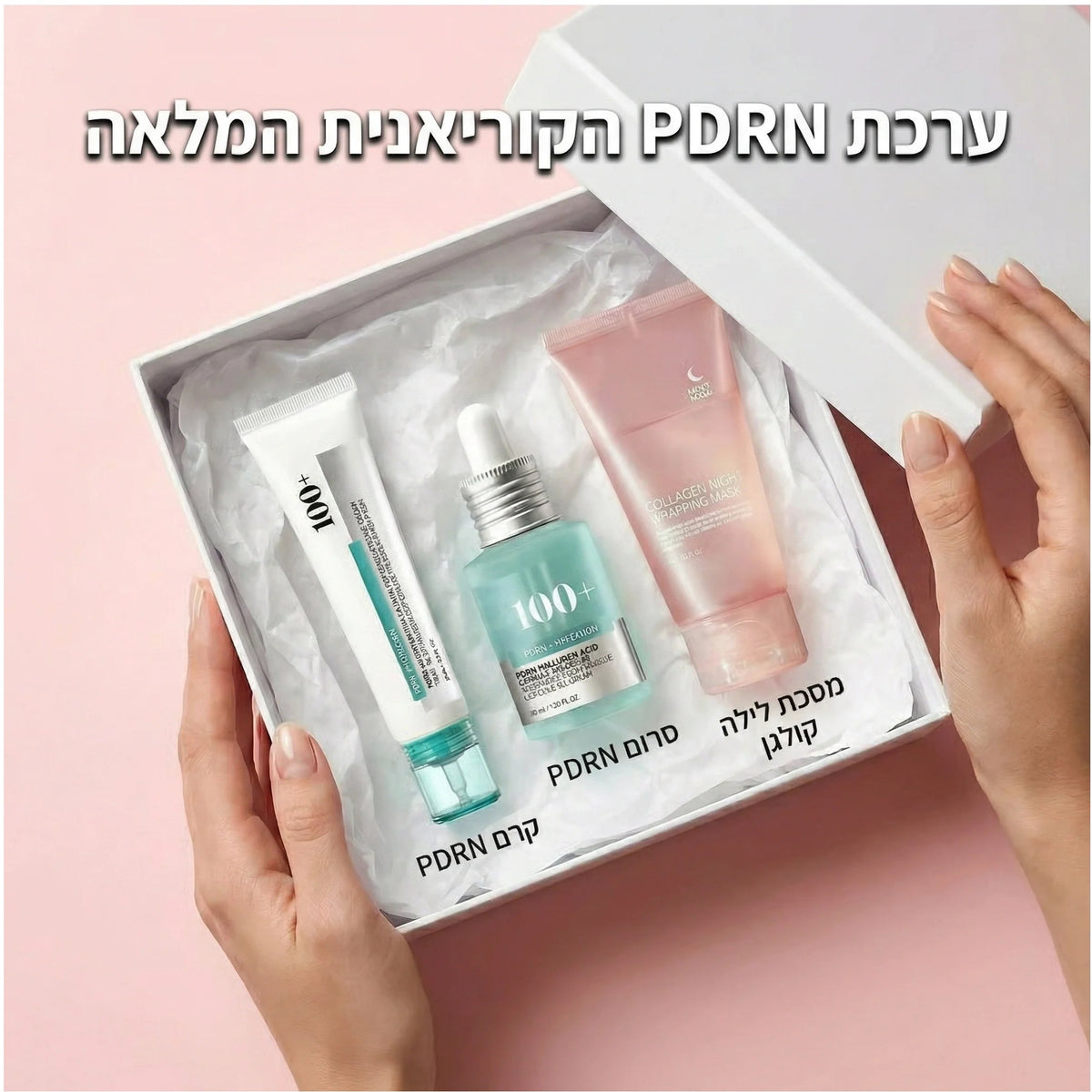 המלצות של דלית